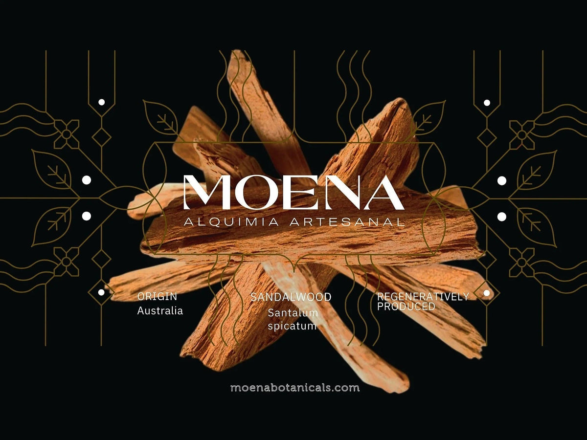 The Moena Botanicals logo over Australian sandalwood on a black background