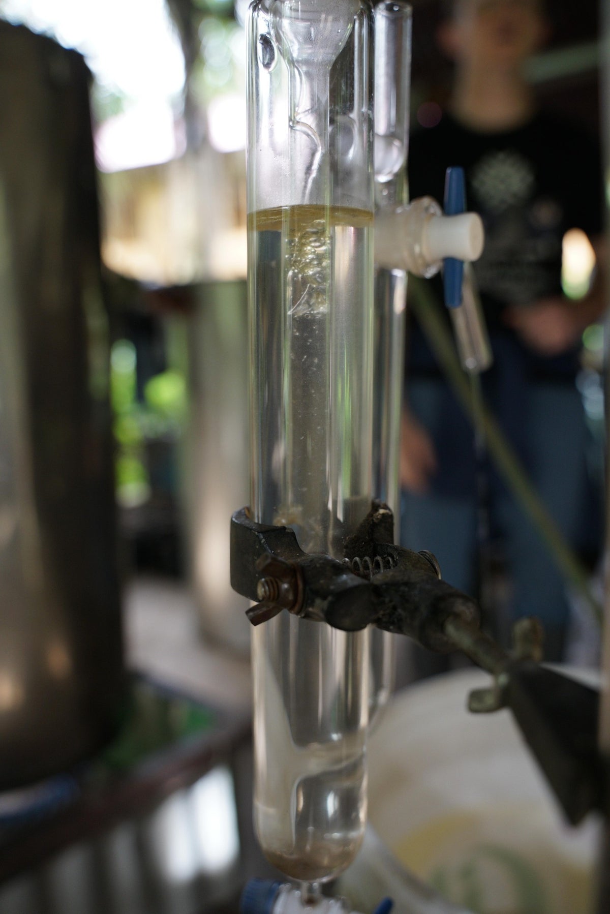 Laboratory setup with a glass apparatus containing an essential oil, held by a metal clamp.