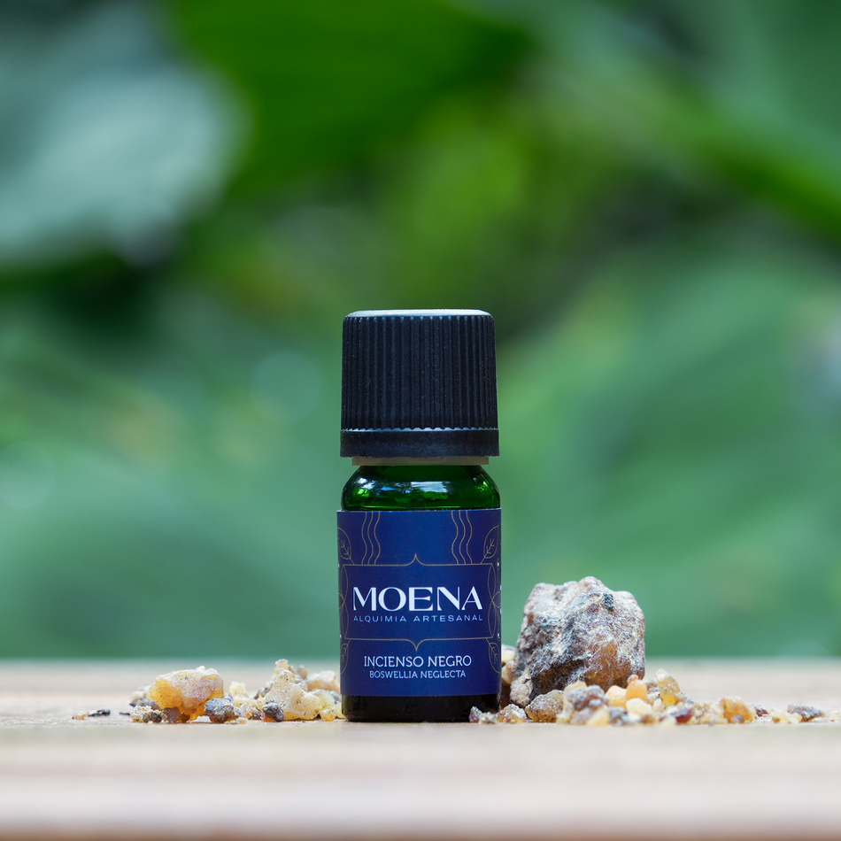 Bottle of Moena Black Frankincense Essential Oil - Incienso Negro on a wooden surface with a natural background