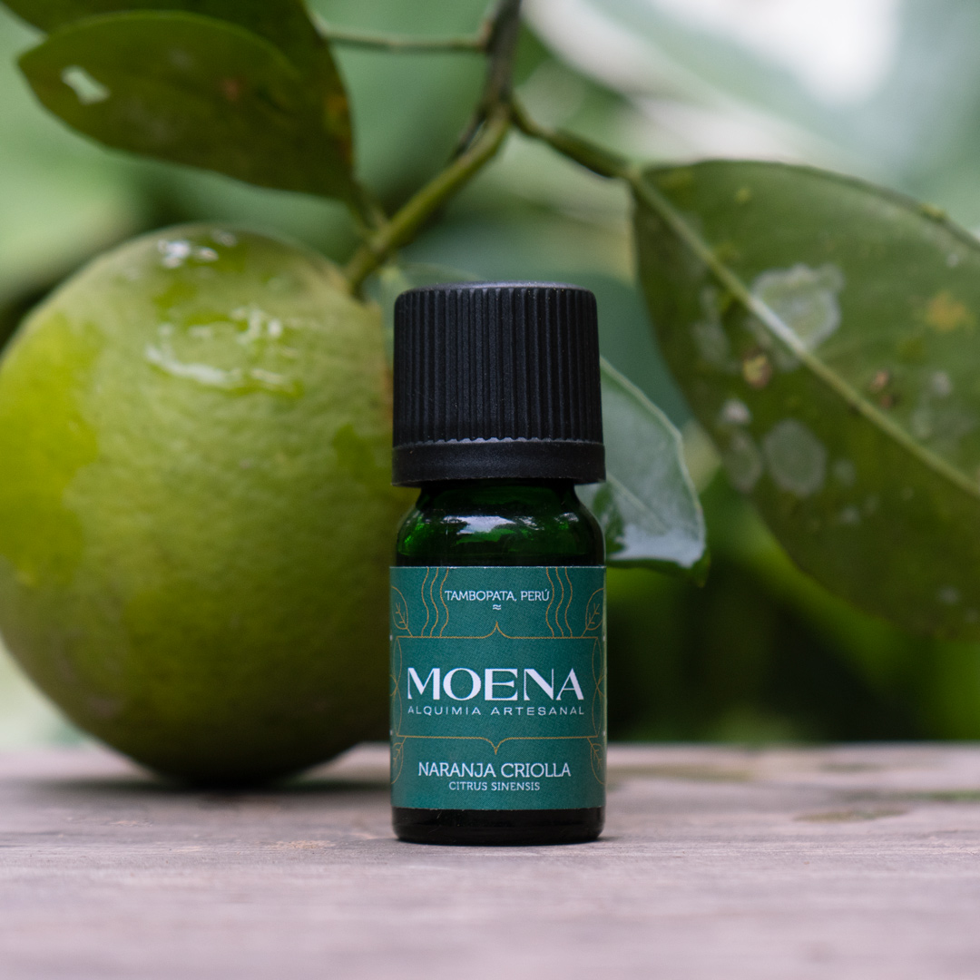 Bottle of Moena Creole Orange Petitgrain Essential Oil - Naranja Criolla essential oil with a green fruit and leaves in the background