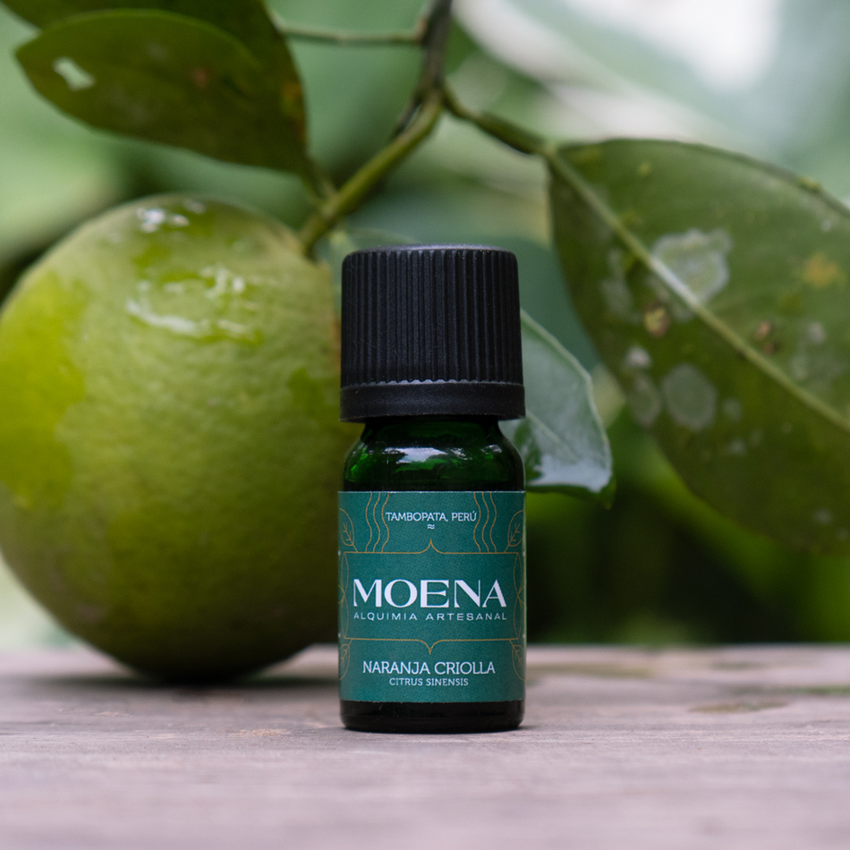 Bottle of Moena Creole Orange Petitgrain Essential Oil - Naranja Criolla essential oil with a green fruit and leaves in the background