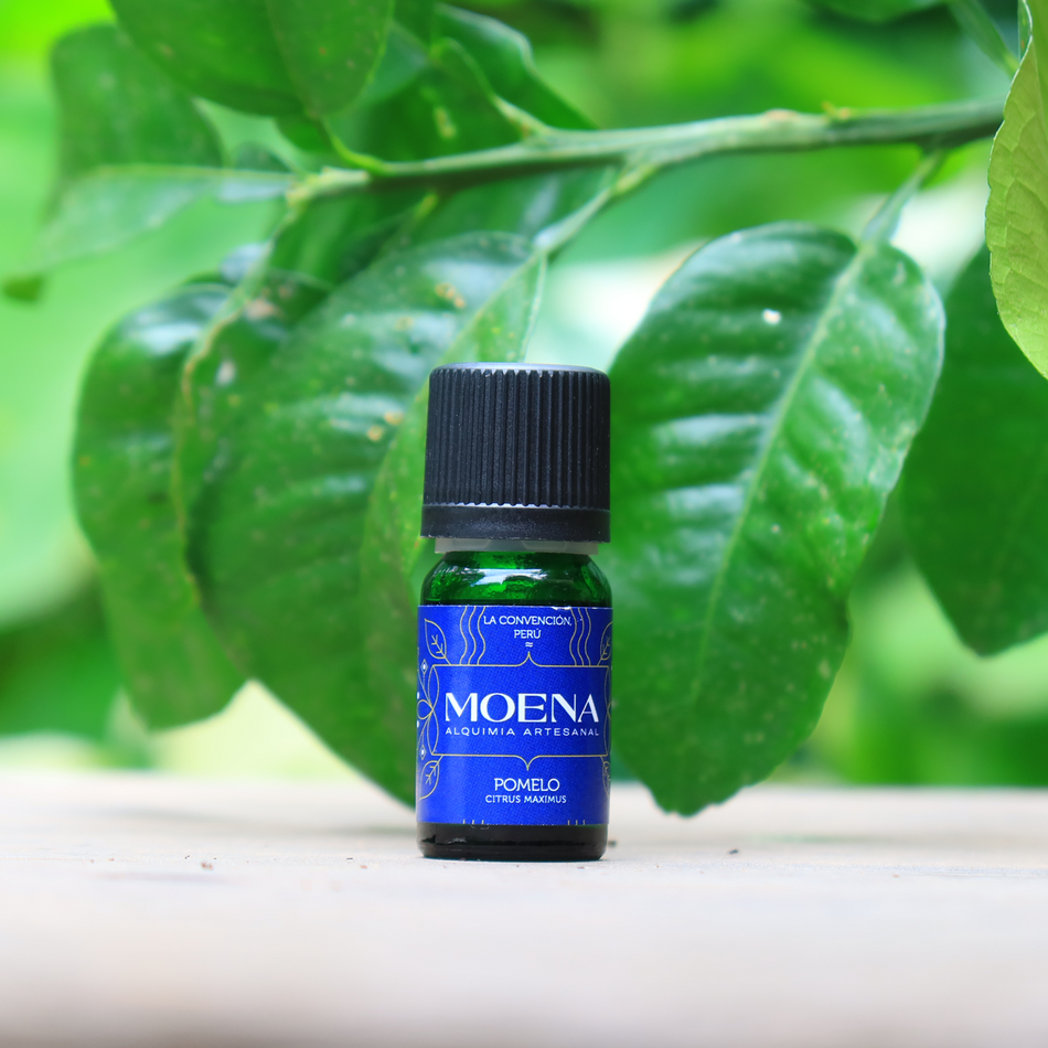 Blue Moena Pomelo essential oil bottle on a wooden surface with green leaves in the background
