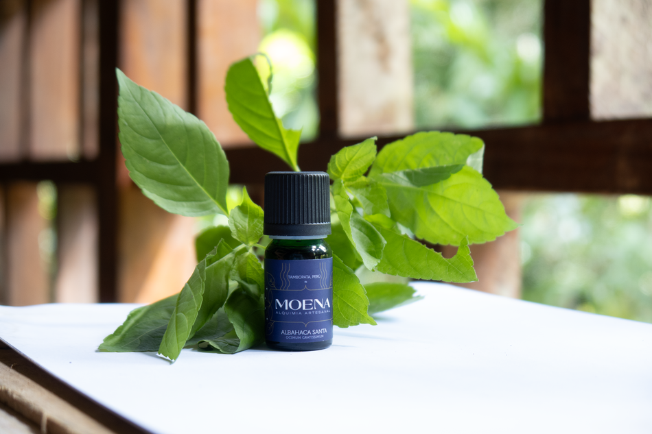 Blue labeled MOENA Albhaca Santa Essential Oil with green leaves on a white table