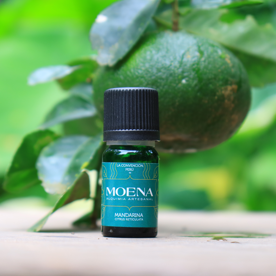 Mandarin Petitgrain Essential Oil bottle with a fruit and green leaves in the background