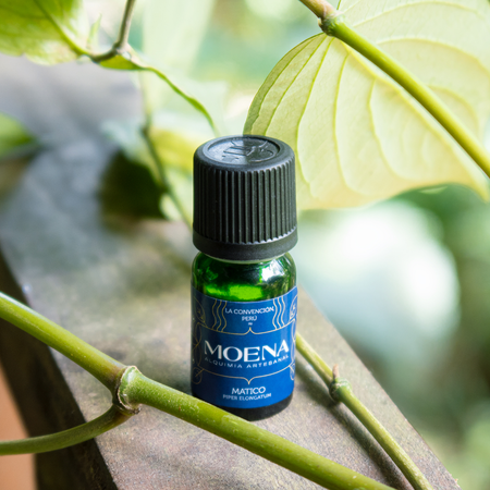 Bottle of Matico Essential Oil with a branch and green leaves