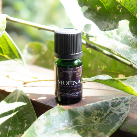 Bottle of Moena Alcanforada Essential Oil surrounded by green leaves