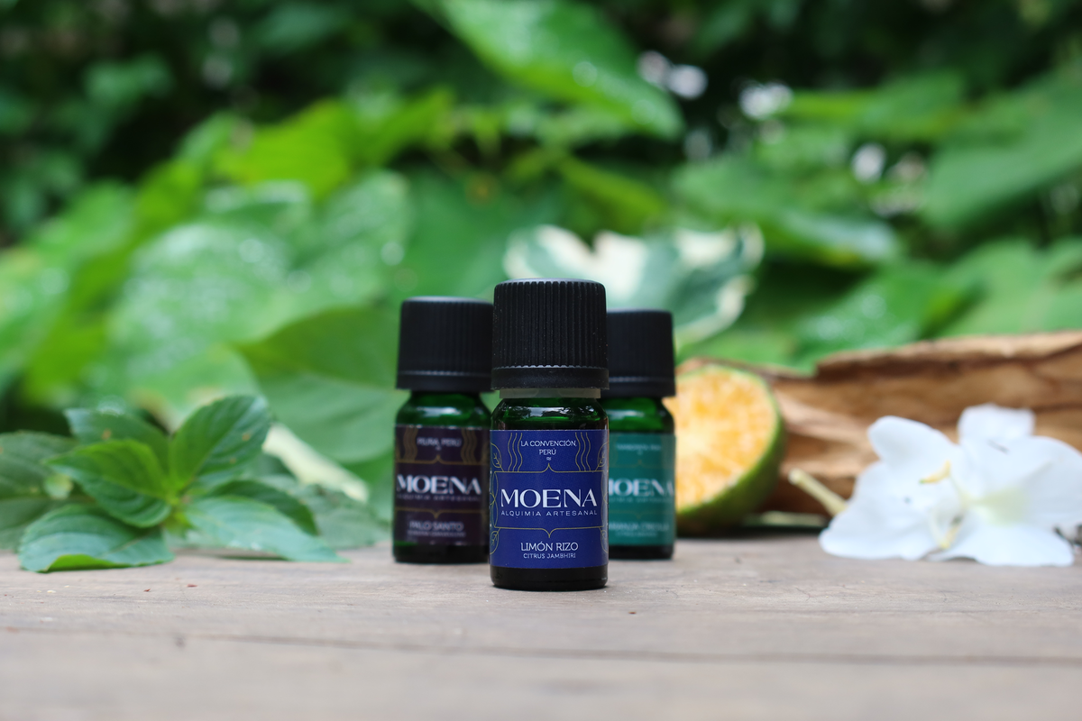 Three Moena essential oil bottles on a wooden surface with a white flower, citrus fruit, and greenery in the background