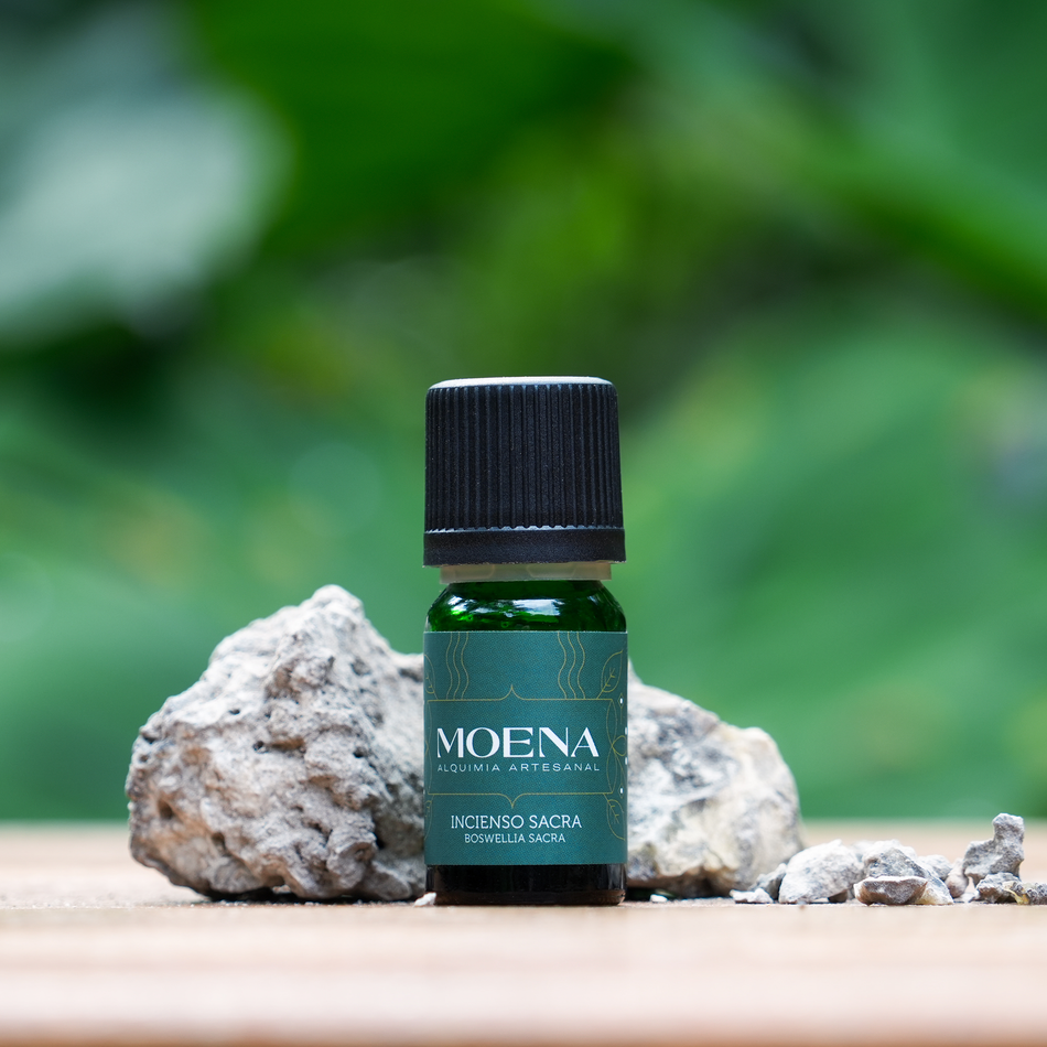 Bottle of Frankincense Sacra Essential Oil - Incienso Sacra on a wooden surface with rocks and blurred green background