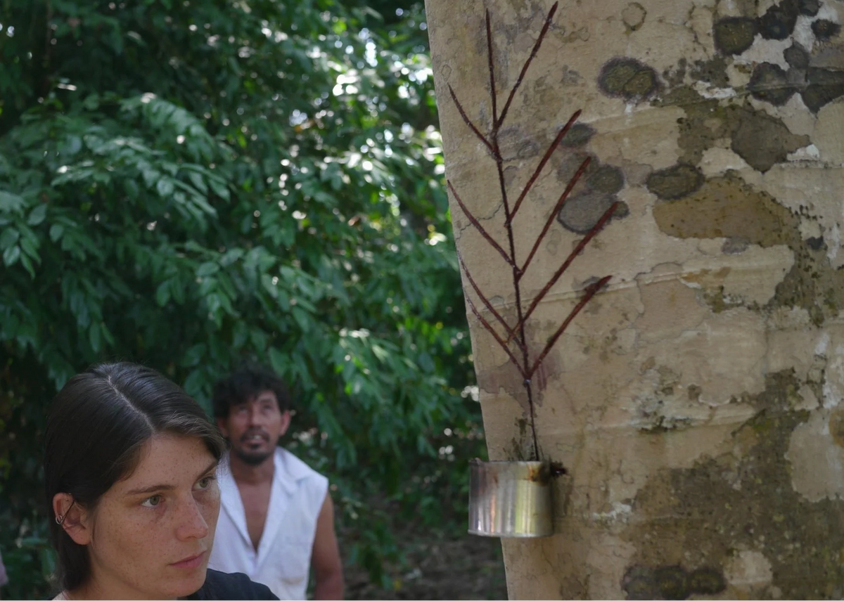 Two people standing in front of a tree with a metal container attached, surrounded by greenery.