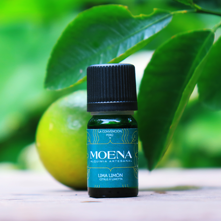 Bottle of Lemon Lime Petitgrain Essential Oil - Lima Limón with a lime and leaves in the background