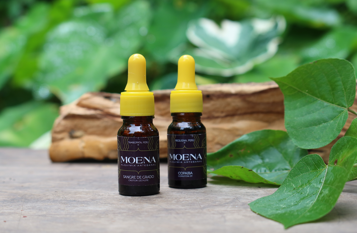 2 bottles of Moena oil resins with yellow dropper caps and  wood and plants in the background