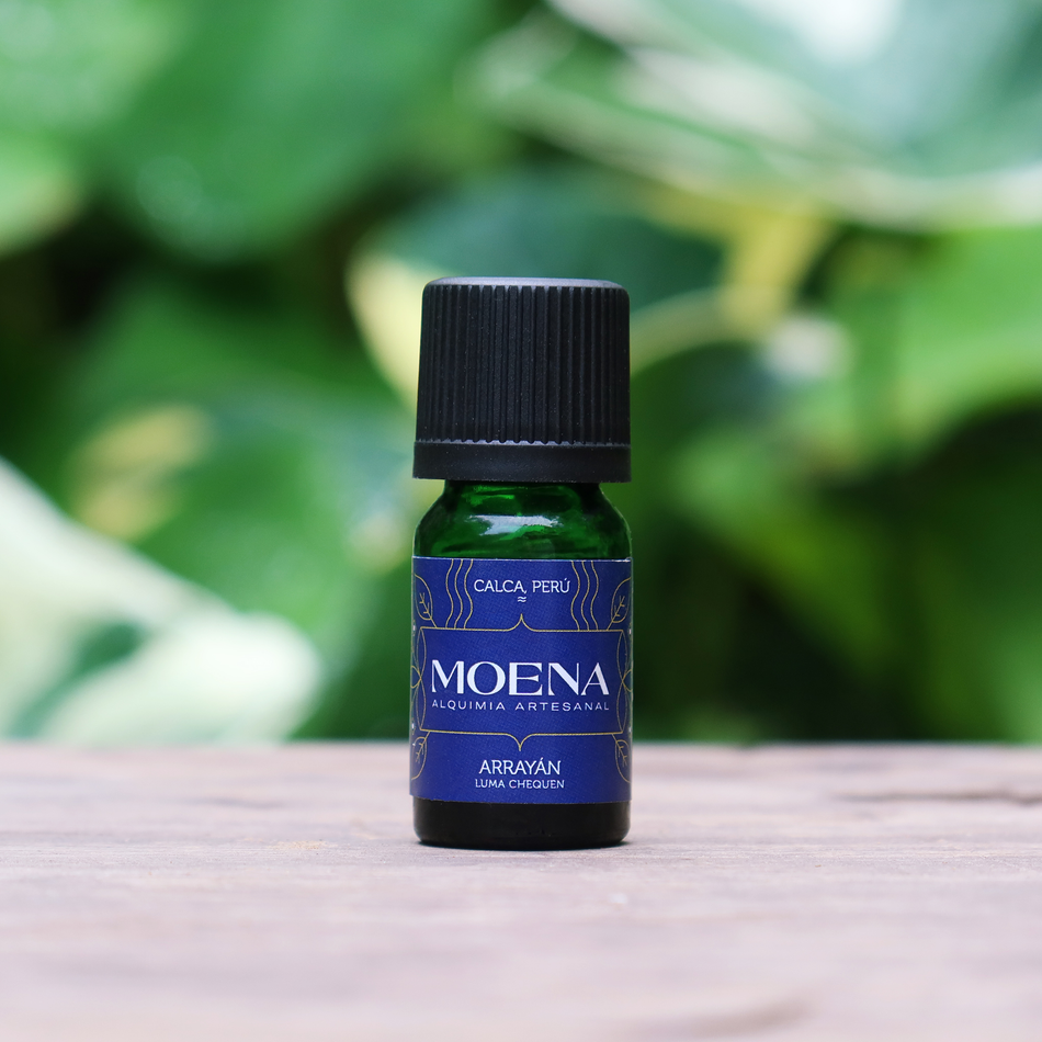 Bottle of Moena White Chilean Myrtle Essential Oil - Arrayán on a wooden surface with green foliage in the background